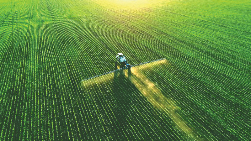 Los agroquímicos están diseñados para aumentar el rendimiento de los cultivos