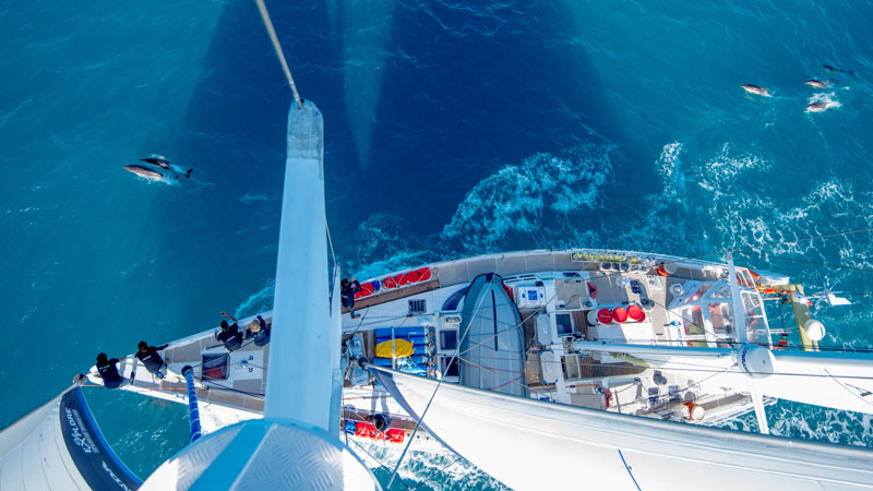 Fûts plastiques avec couvercle à vis pour la voile